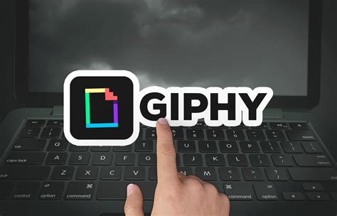 ghipy|giphy download.